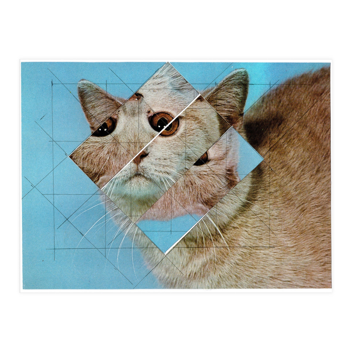 The Depressive Cat Am Abend Bekommt Den Blues (Print Only)