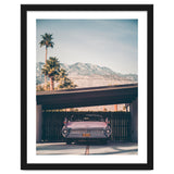 Palm Springs Pink thumbnail