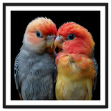 Two Lovebirds Nuzzle Together thumbnail