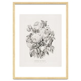 Currier & Ives – Rose of May (1870) thumbnail
