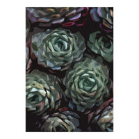 Succulent Plant Ii (Print Only)