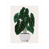 Philodendron Plant (Print Only) thumbnail