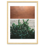 Plant + Copper thumbnail