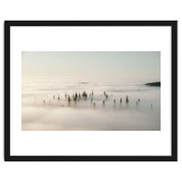 Misty Peaks: Pine Forest Above the Clouds