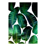 Cosmic Banana Leaves (Print Only) thumbnail