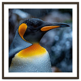 Close Up Of King Penguin In The Rain thumbnail