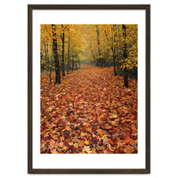 Ethereal Autumn Forest Path