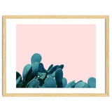 Kaktos thumbnail