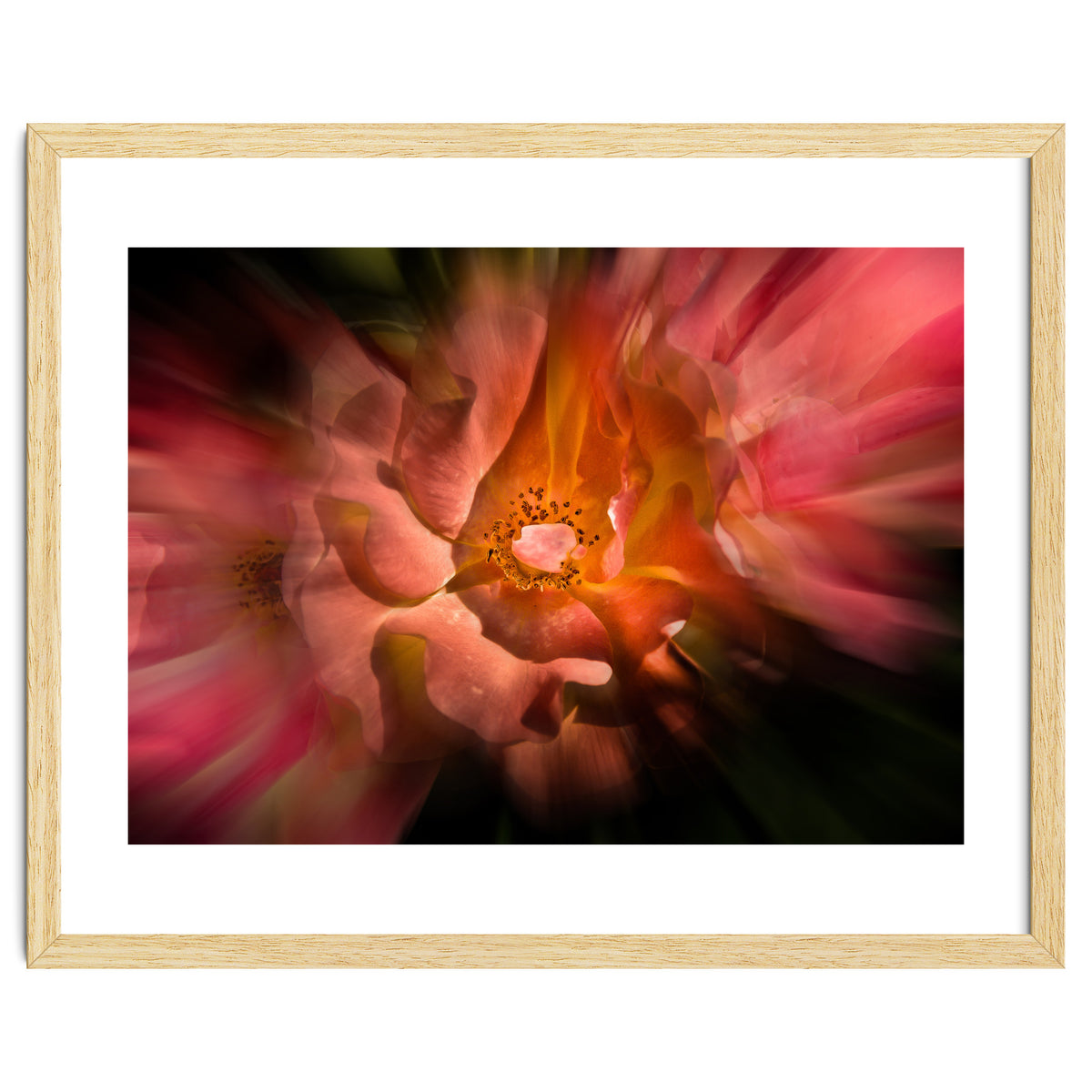 Backyard Flowers No 40 Color Flow Version