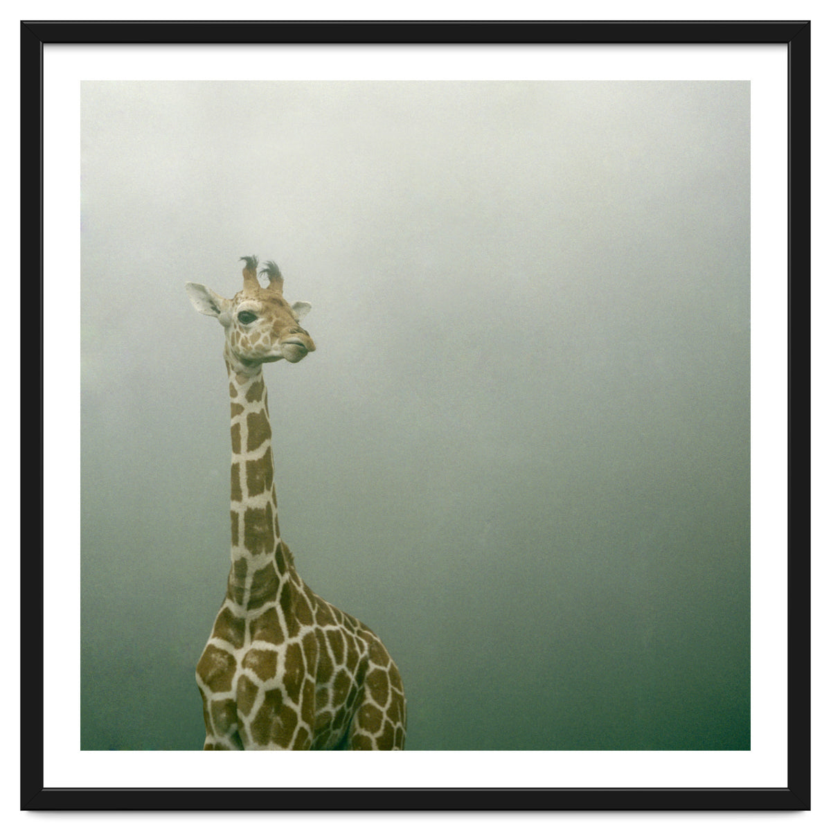 Silence of breath - 08