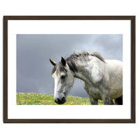 White Horse