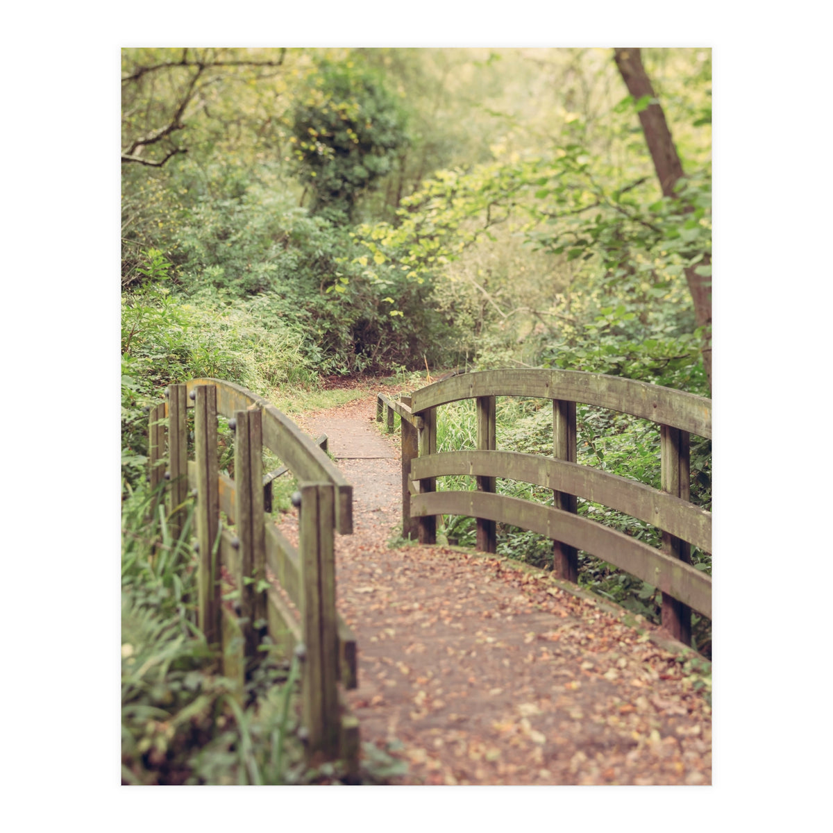 Path To The Bridge (Print Only)