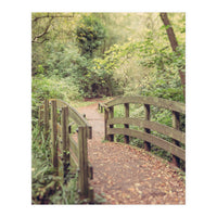Path To The Bridge (Print Only)
