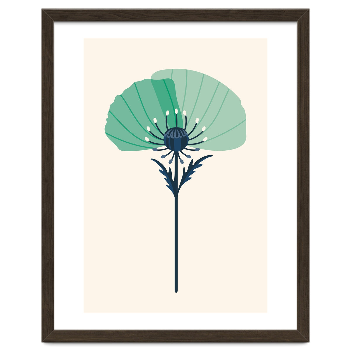 Teal Half Poppy