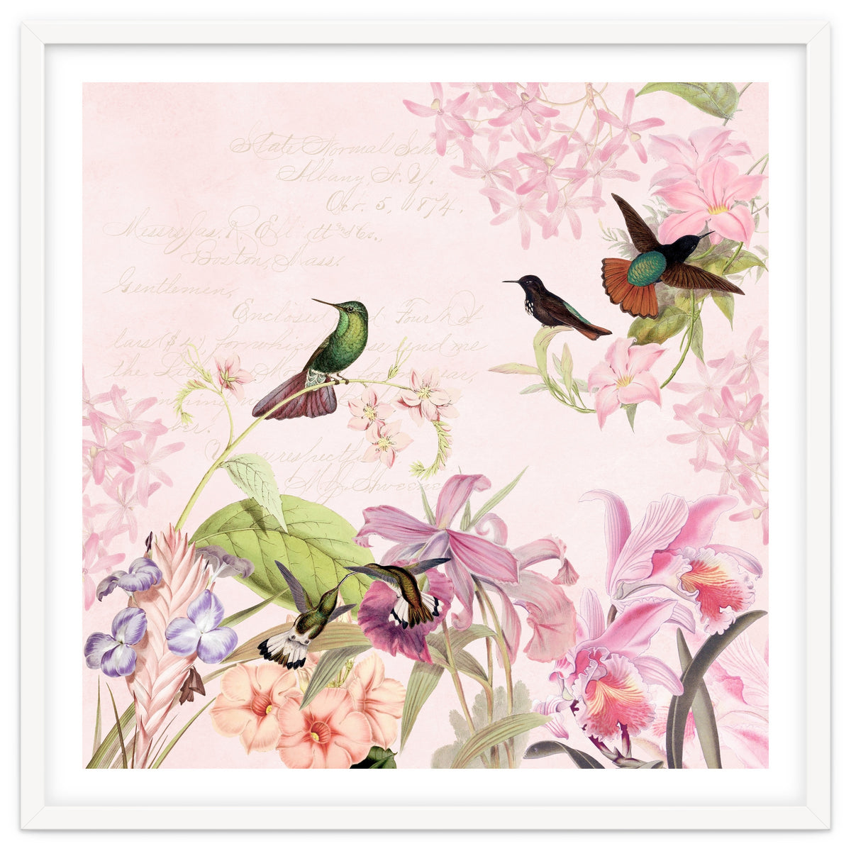 Hummingbirds in Flower Jungle