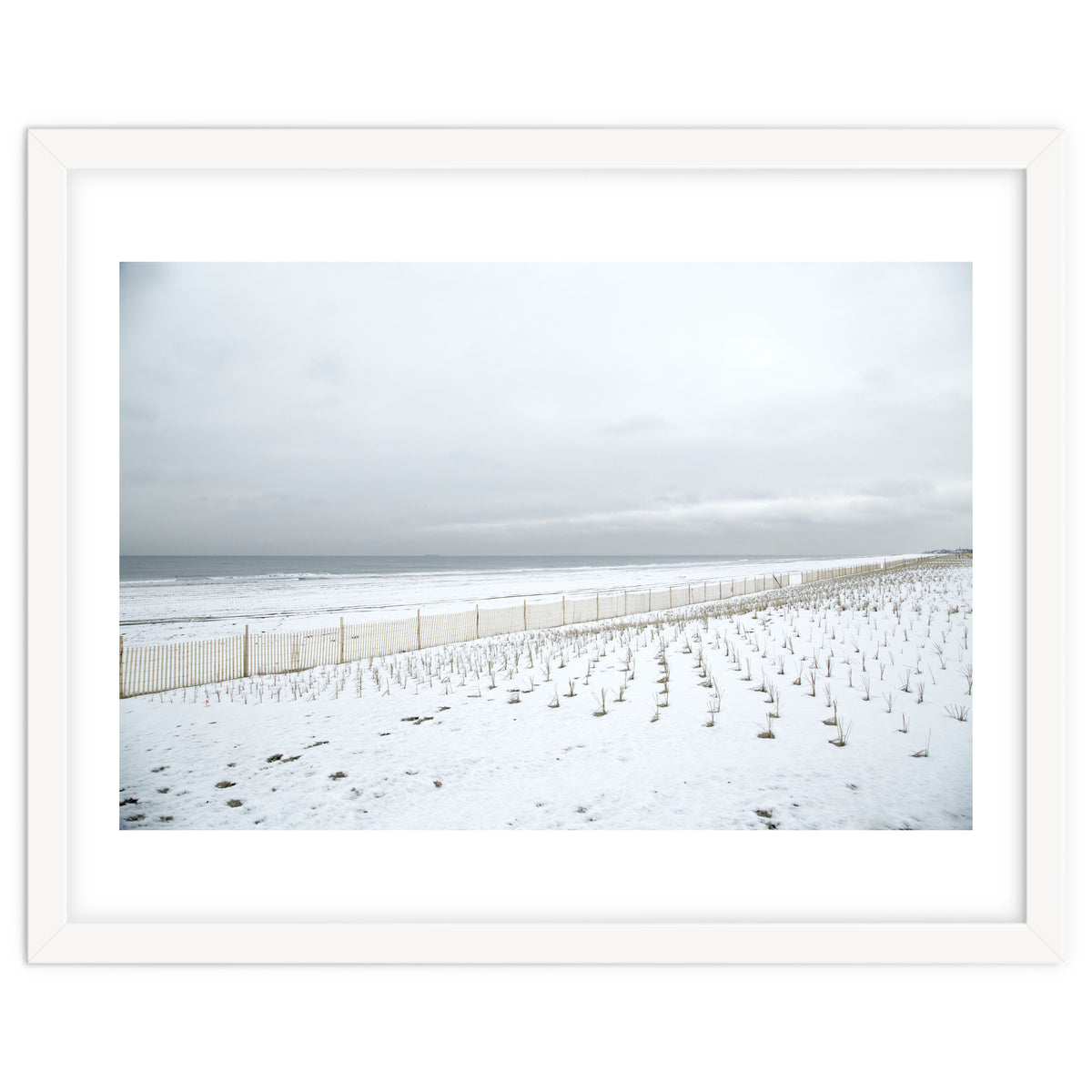 Winter grass in snow beach