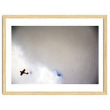 The Little Prince thumbnail