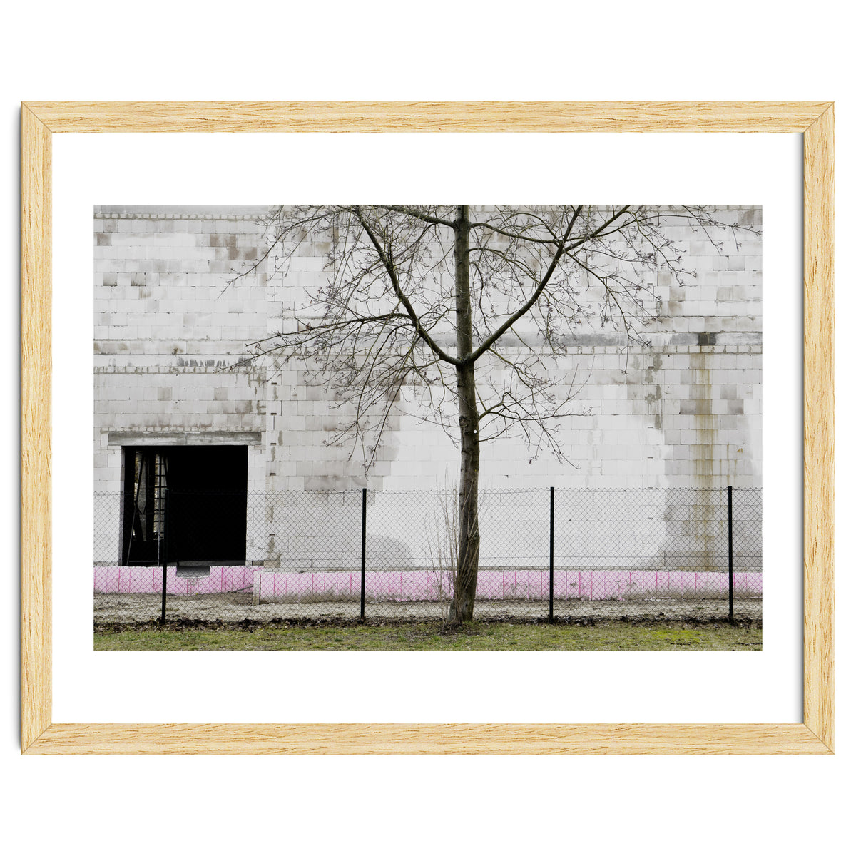 A tree in front of the wall