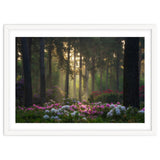 Rhododendron forest thumbnail