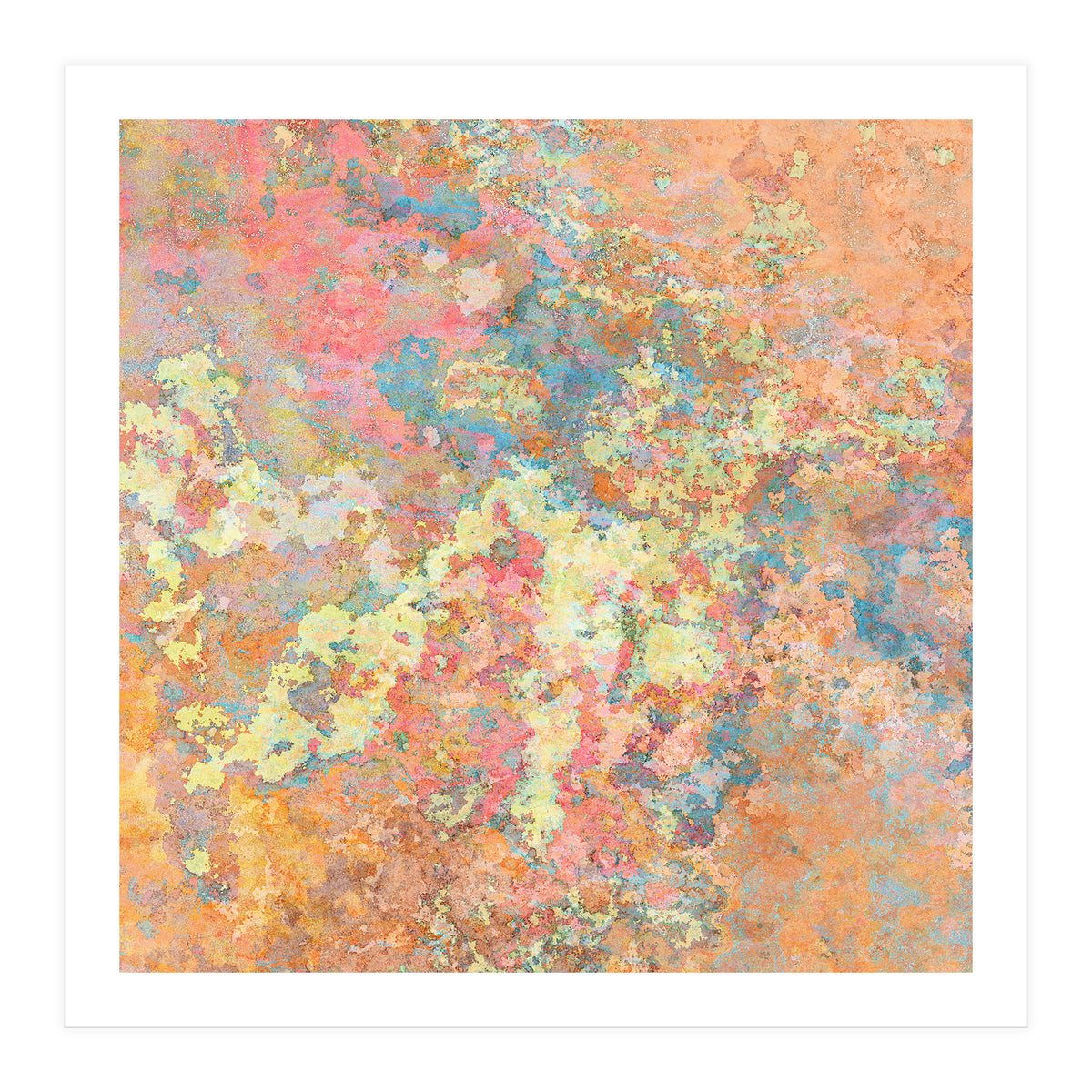 Test  (Print Only)