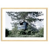 Blue hut on the tree thumbnail