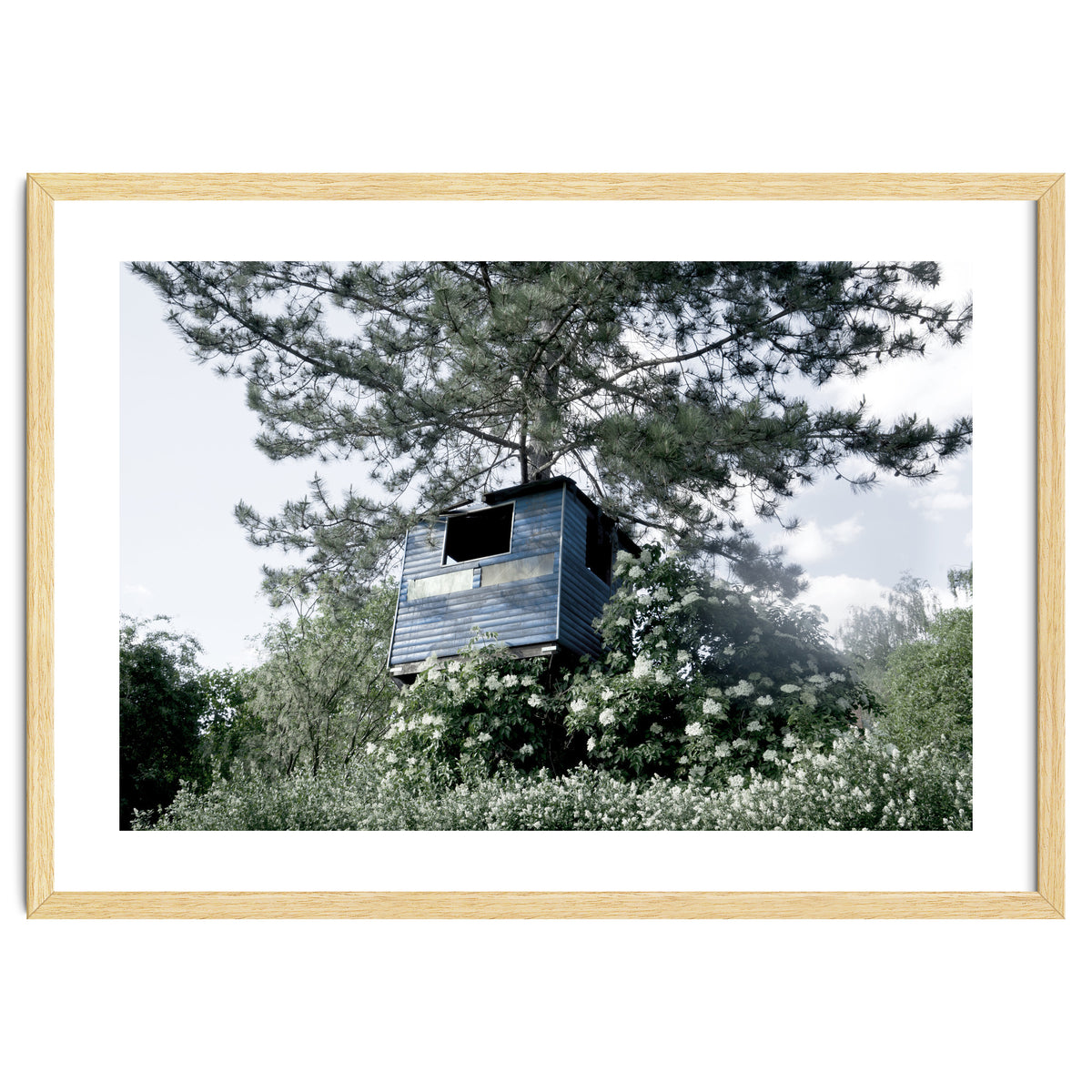 Blue hut on the tree