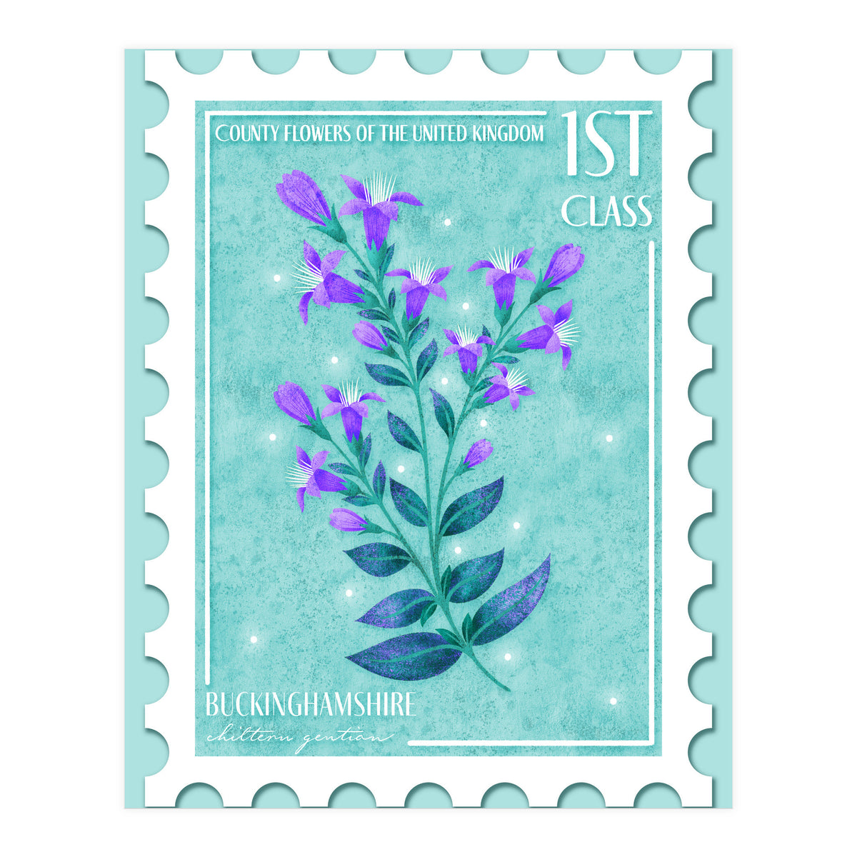 The Buckinghamshire Chiltern Gentian Postage Stamp (Print Only)