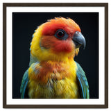 Vibrant Sun Conure Parrot Close Up Portrait thumbnail