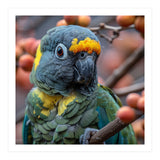 Yellow Headed Amazon Parrot Close Up Portrait (Print Only) thumbnail