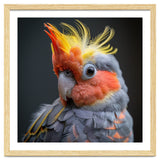 Cute Cockatoo Bird Portrait Colorful Crest thumbnail