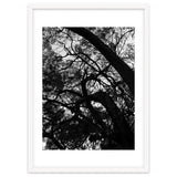 Tree Black Silhouette thumbnail