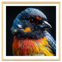 Close Up Of A Colorful Bird In The Wild
