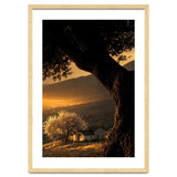 The Hill thumbnail