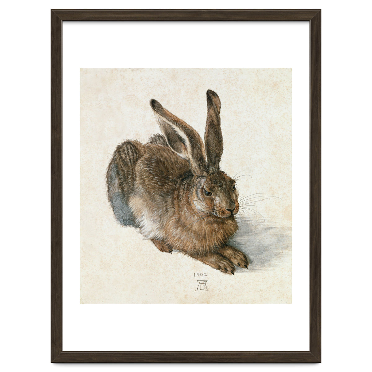 Hare-Hase. Watercolour.