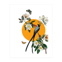 collage floral birds (Print Only)