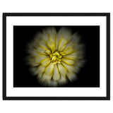 Backyard Flowers No 86 Color Flow Version thumbnail