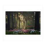 Rhododendron forest (Print Only) thumbnail