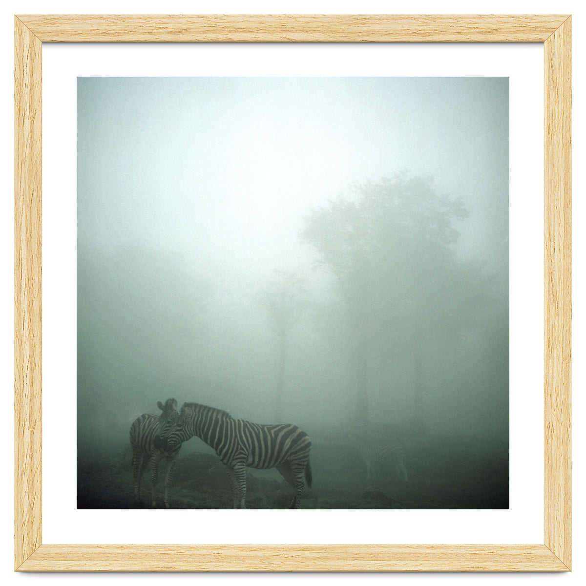 Silence of breath - 15