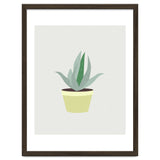 Succulent V1 thumbnail
