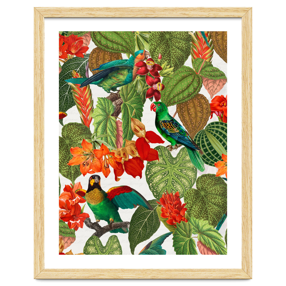 Tropical Parrots In Flower Jungle