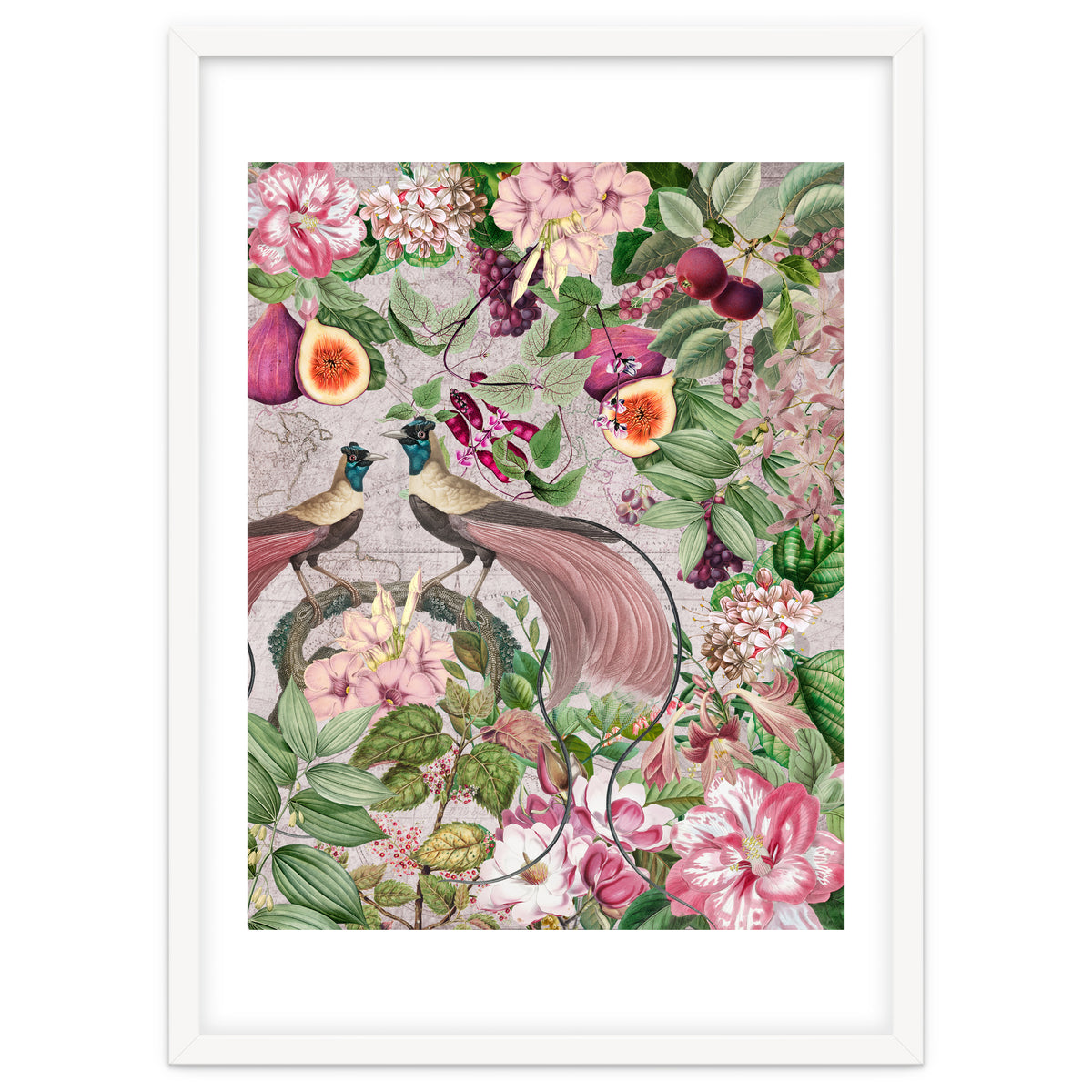 Vintage Birds Of Paradise Jungle