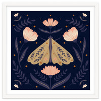 Moth And Flowers