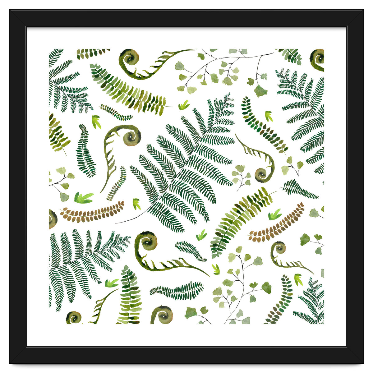 Spring Fern Pattern