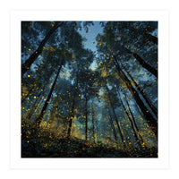 Celestial Forest Canopy with Swirling Golden Fireflies and Deep Twilight Blue Sky Digital Art (Print Only)