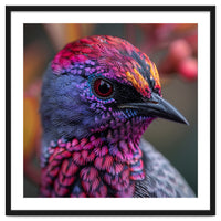 Vibrant Exotic Bird Detailed Feather Close Up