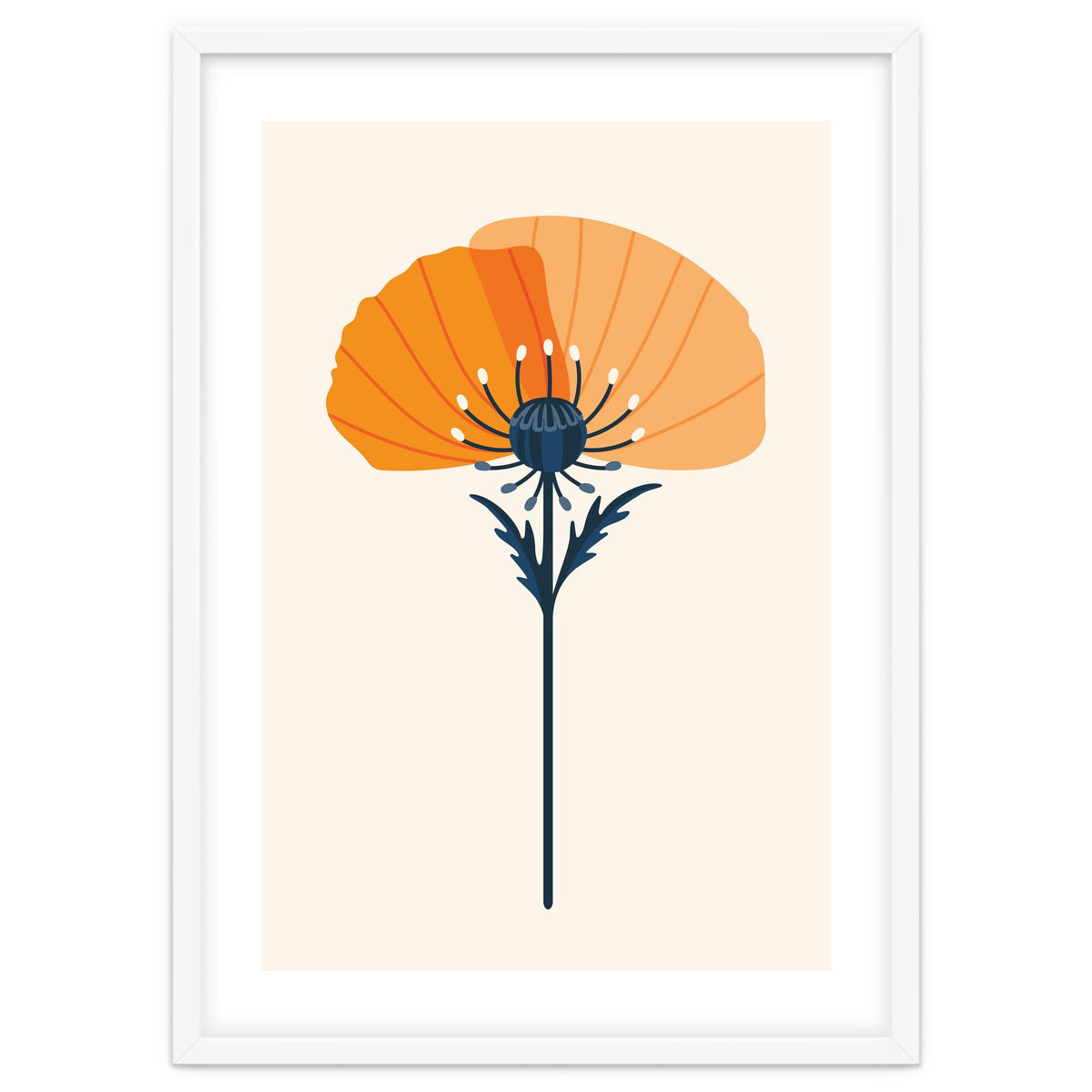 Orange Half Poppy