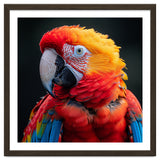Scarlet Macaw Parrot Portrait Vivid Colors thumbnail