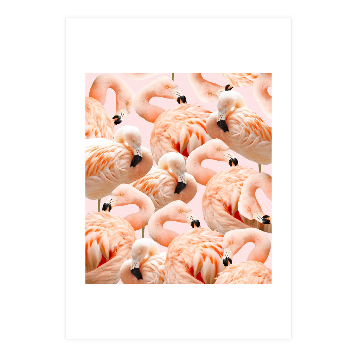 Flamingo Blush #society6 #decor #buyart #flamingoart (Print Only)