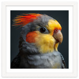 Cockatiel Parrot Closeup Vibrant Feather thumbnail