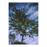 Skyfall (Print Only) thumbnail